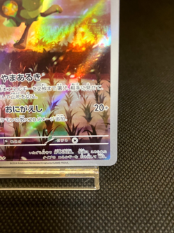 Teal Mask Ogerpon 148/SV-P Special Card Promo Japanese Pokemon Card NM - Image 5