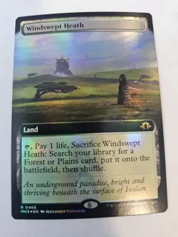 MTG - Windswept Heath FOIL Extended Art - Modern Horizons 3 - Image 1