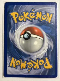 Snivy 1/12 - 2011 McDonald’s Promo Holo Pokemon Card - Image 2