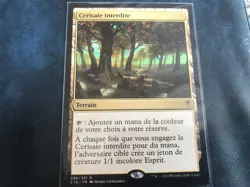 Cerisaie interdite - Forbidden Orchard VF MTG ! - Image 1