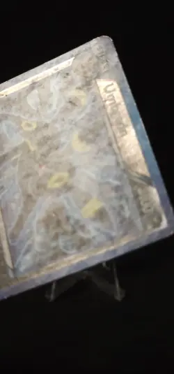 Pokemon Umbreon (Team Plasma) 64/116 Plasma Freeze Reverse Holo Damage - Image 5