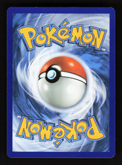 M Pidgeot EX 105/108 XY Evolutions Full Art Pokemon Card - Image 2