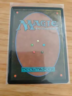 MTG Blazemire Verge 0256 Duskmourn M/NM Free UK P&P - Image 2