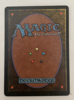 1x Soraya the Falconer Homelands MTG Magic the Gathering LP - Image 2