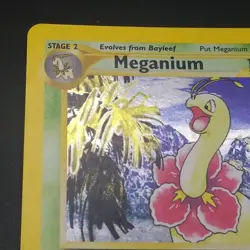 Meganium 11/111 - Holo RARE - Neo Genesis - VINTAGE WOTC Pokemon Card - NM/LP - Image 2