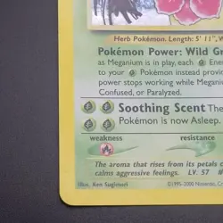 Meganium 11/111 - Holo RARE - Neo Genesis - VINTAGE WOTC Pokemon Card - NM/LP - Image 5