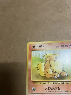 Growlithe 26 Squirtle Deck Number 58 Vintage Japanese Pokemon Card - Image 3