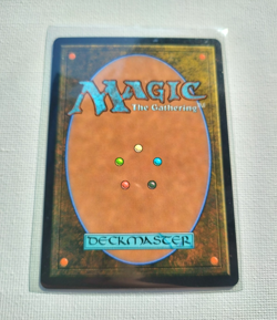 Starting Town (Regular) (FIN 0289) Final Fantasy Magic The Gathering - NM - Image 3