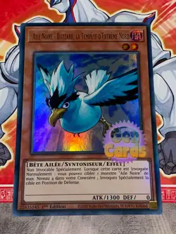 Carte YU GI OH AILE NOIRE - BLIZZARD, LA TEMPETE D'EXTREME NORD BLCR-FR059 - Image 1