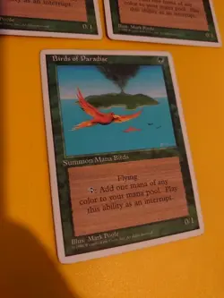 Birds of Paradise x3 Mana Birds. 4th Ed.Old Vintage. Magic the Gathering 3 Card - Image 4