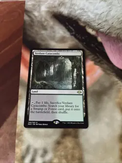 Verdant Catacombs Modern Horizons 2 Regular NM - Image 1
