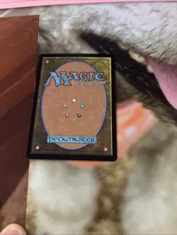 Verdant Catacombs Modern Horizons 2 Regular NM - Image 2