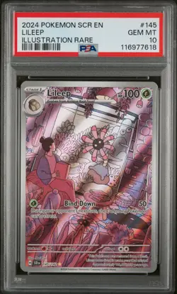 2024 Pokemon Scr En-Stellar Crown Lileep #145 Illustration Rare PSA 10 - Image 1