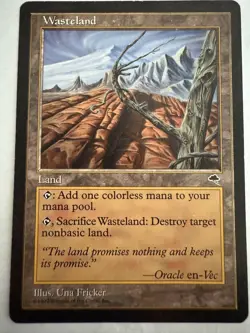 MTG: Wasteland Tempest 1997 Card Regular Magic The Gathering - Image 1