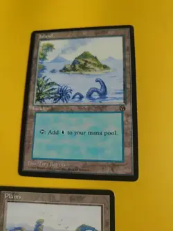 Arena Promo basic lands x2 TOny Roberts MTG Card.Plains & Island 1996 - Image 4