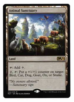 Magic the Gathering MTG Card: Animal Sanctuary 242/274 M21 Core Set Rare! NM - Image 1
