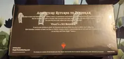 MTG Zendikar Rising Set Booster Box - 30 Packs - New Sealed Magic The Gathering - Image 3