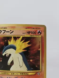 Typhlosion No.157 Holo Neo Genesis Premium File 2000 Pokemon TCG Japanese MINT - Image 3
