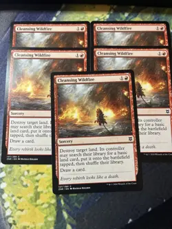 X5 Cleansing Wildfire - NM - MTG - - Image 1