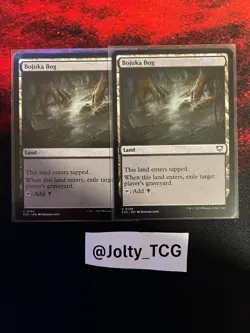 Bojuka Bog Commander: Edge of Eternities Regular 0149 - Image 1