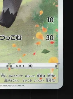 Poochyena 208/172 NM VSTAR Universe Japanese Pokemon Card TCG - Image 3
