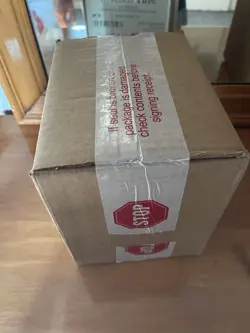 Pokemon Mega Evolution Dollar Tree Booster Pack Case (48 Packs) SEALED FACTORY - Image 4