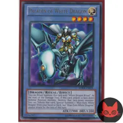 Yugioh Paladin of White Dragon DPKB-EN024 Rare NM - Image 1