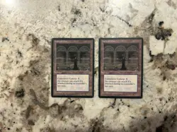 Mtg Halls Of Mist x2 - Magic the Gathering Halls Of Mist Played-Hp - Image 1