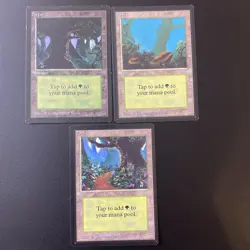English - MTG Beta Basic Land Lot Of 15 - All Art Variants - Image 2