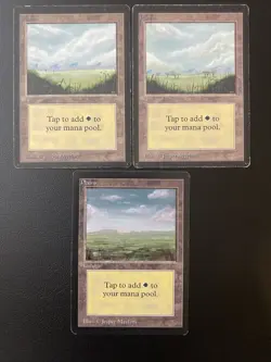 English - MTG Beta Basic Land Lot Of 15 - All Art Variants - Image 5