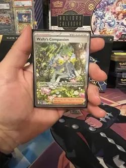 Wally's Compassion 186/132 Pokemon Mega Evolution SIR - Image 2