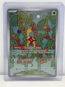 Shuckle 136/132 - Pokemon Mega Evolution Illustration Rare - Image 1