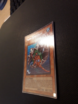 Yu-Gi-Oh! Toon-Jungfrau, SRL-G072, Ultra Rare, 2. Auflage, Deutsch, Near Mint - Image 3