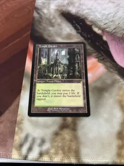 Temple Garden (Retro Frame) Ravnica Remastered Regular NM - Image 1
