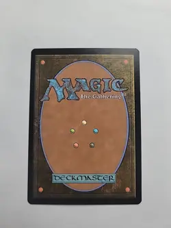 MTG - Princess Sarah - (Showcase) FCA Regular Rare #0015 - Image 3