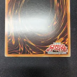 Yu-Gi-Oh Dark Magician Girl MFC-KR000 Secret Rare Korean - Image 5