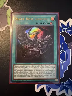 Black Rose Garden DOOD-EN055 1st Edition Ultra Rare NM Near Mint Yugioh - Image 1