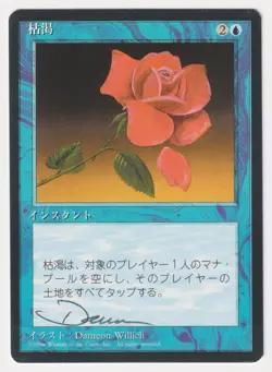 Signed Japanese Mana Short Proof LP FBB Artist Dameon Willich 1996 MTG Magic AP! - Image 1