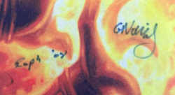 2008 MTG PLAYER SIGNED PLAYMAT MAGIC THE GATHERING MORNINGTIDE PRO PLAYERSU - Image 4