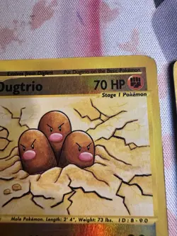 Pokemon E Reader Reverse Holo Lot - Image 5
