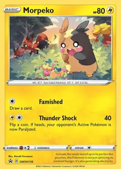 Morpeko - SWSH116 - SWSH Black Star Promo NM, English Pokemon Promos - Image 1