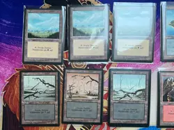 60 German Fbb Basic Lands (15 Playsets) • All Unplayed / 90% are NM • Mtg - Image 2