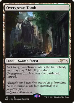 1 x Overgrown Tomb (130/1320) Secret Lair Drop Series NM MTG Magic - Image 1