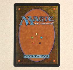 2x Vintage MTG Revised * SWAMP Land * Signed and Altered by Artist Dan Frazier * - Image 3