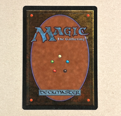 2x Vintage MTG Revised * SWAMP Land * Signed and Altered by Artist Dan Frazier * - Image 5