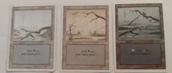 MTG REVISED Vintage Land Lot Swamps Free Shipping - Image 1