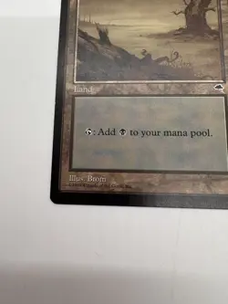 Magic The Gathering Swamp Land Common Tempest Illus. Brom Vintage - Image 4