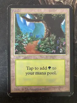 *** ALPHA Forest (Path) *** EX Clean! - DUTY FREE - Magic MtG - Image 1