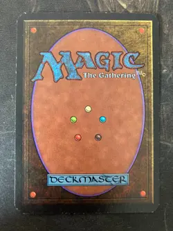 *** ALPHA Forest (Path) *** EX Clean! - DUTY FREE - Magic MtG - Image 2