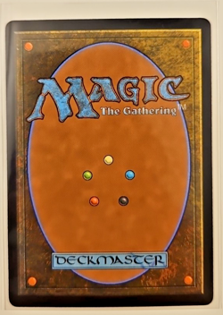 Swamp 298/302 MTG Kamigawa: Neon Dynasty Reg Full Art Basic Land NEO JP - Image 2